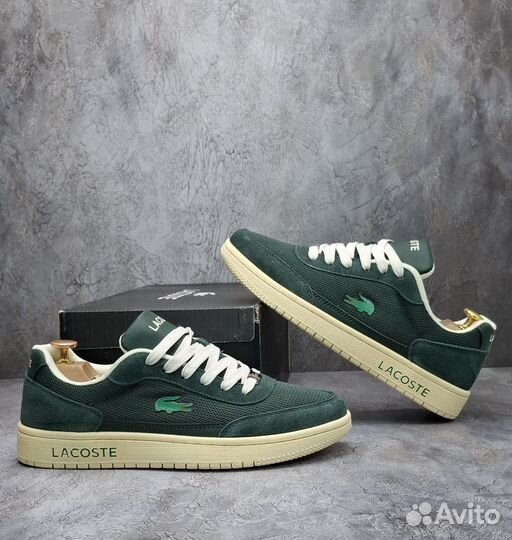 Мужские Кеды Lacoste