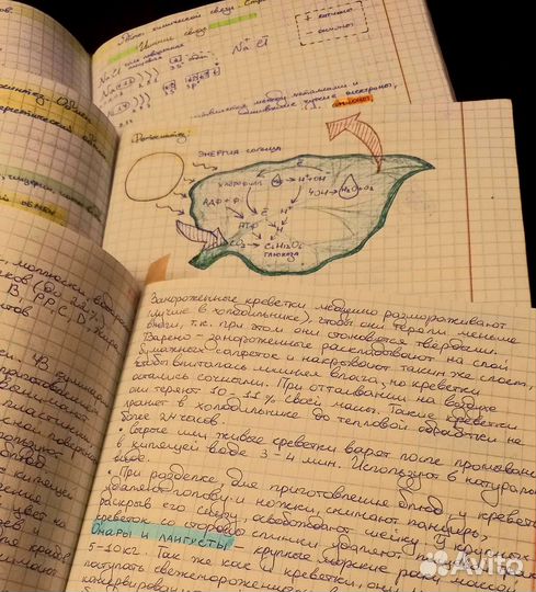 Перепишу лекции/конспекты