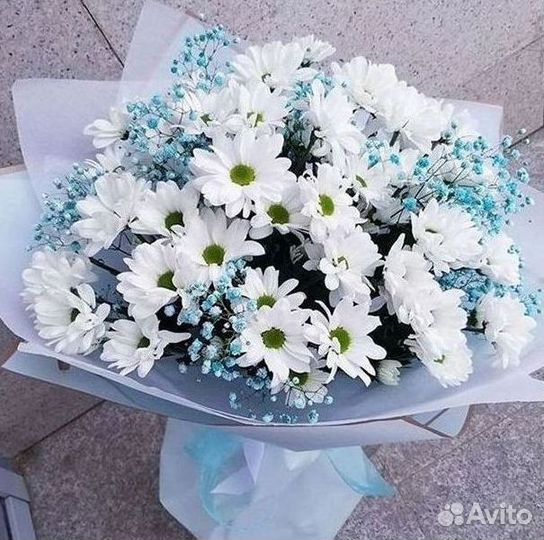 Доставка букетов и цветов. Хризантема