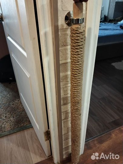 Кошачья когтеточка