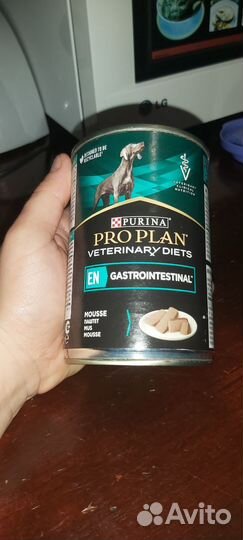 Лечебный корм для собак