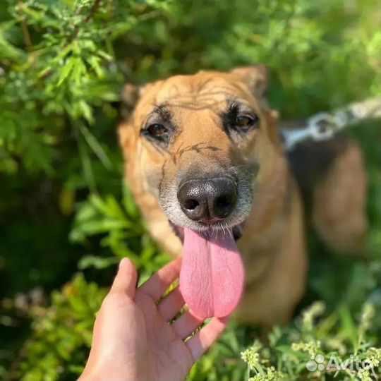 Заметьте меня, я буду другом