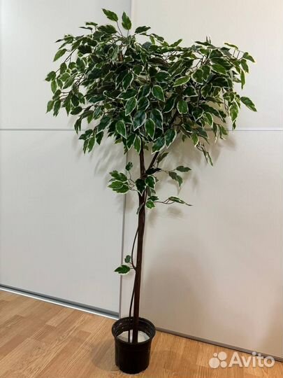 Искусственное дерево Фикус Бенджамина