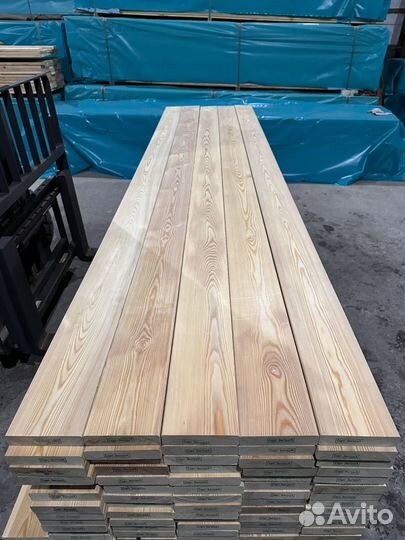 Лиственница в СПб по новой сортировке