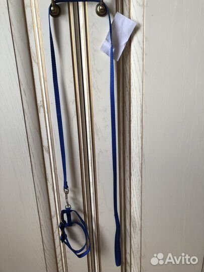 Шлейка для собаки