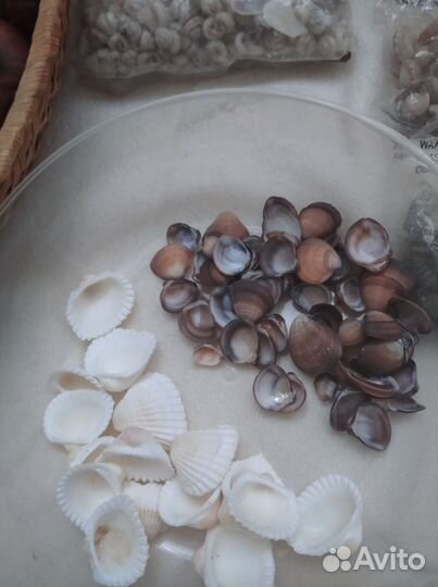 Наборы для творчества:фонарики, каштаны ракушки