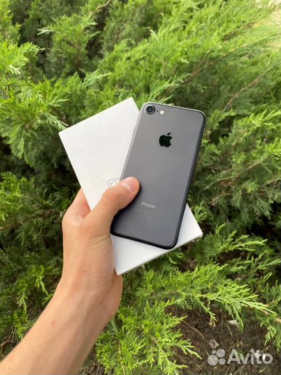 iPhone 7 256GB рст идеал