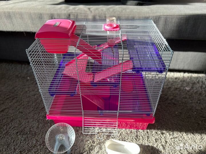 Клетка для джунгарского хомяка