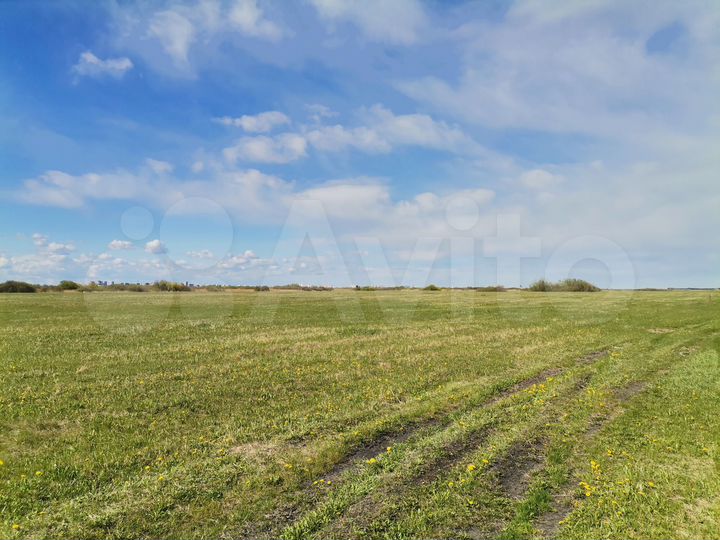 Участок 2,9 га (ИЖС)