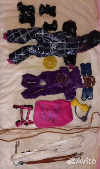 Вещи (одежда) для маленьких собак - лот