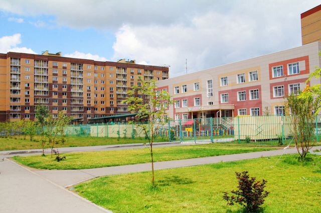 Дивногорский новосибирск фото