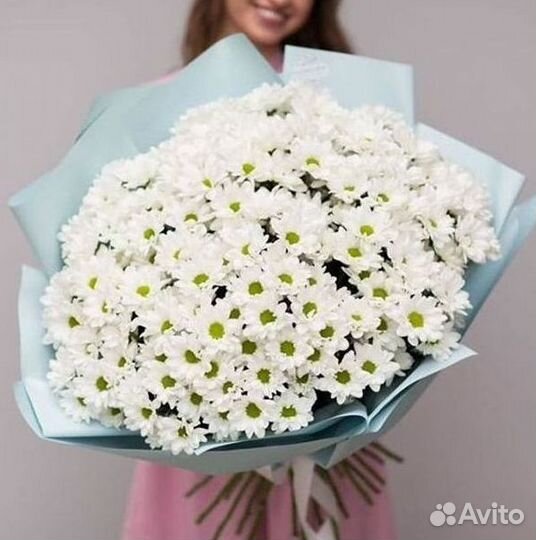 Хризантема Букет хризантем Доставка