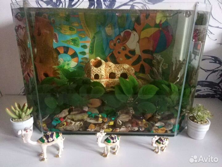 Аквариум