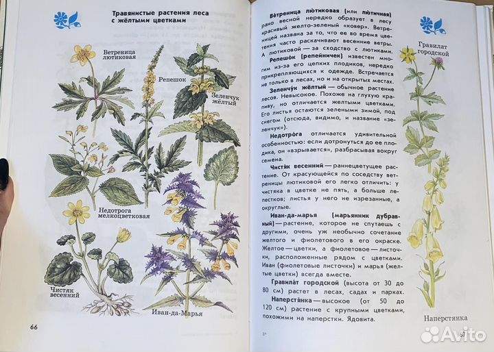 От земли до неба. Атлас-определитель. 1-4 классы