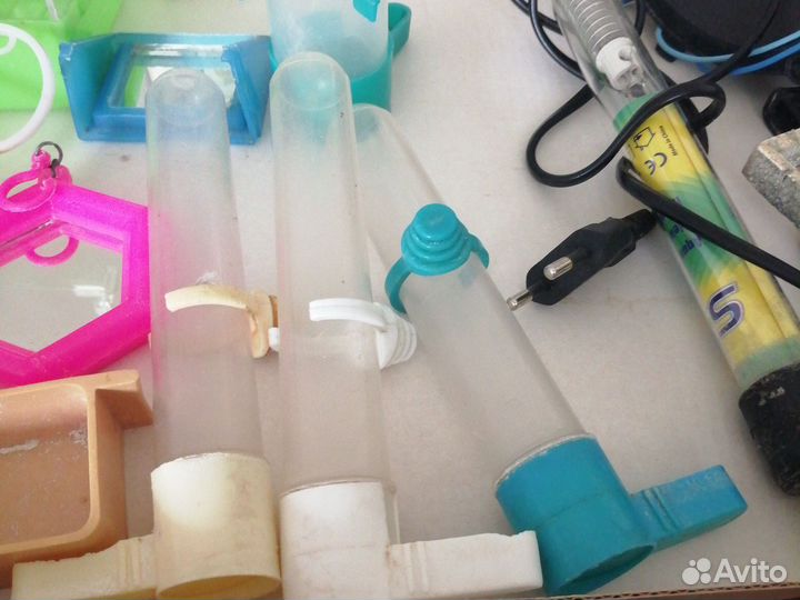 Для попугая и рыб