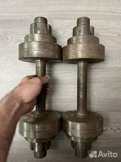 Гантели разборные