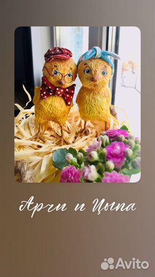 Цыпленок Арчи и Цыпа