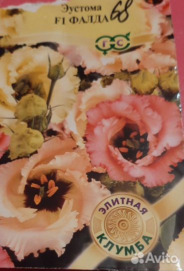 Эустома рассада