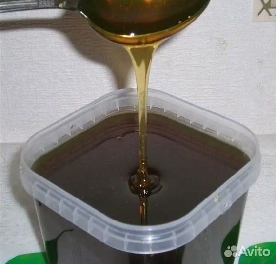 Гречишный мед оптом с Алтая