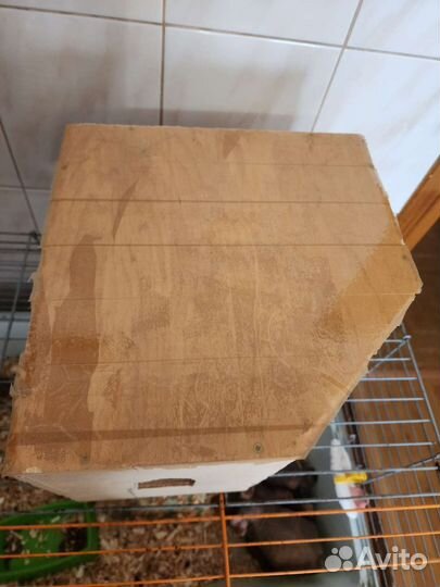 Дом для грызунов