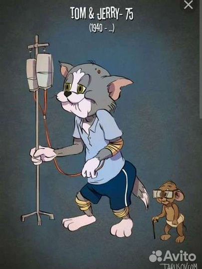 Ветеринарный врач