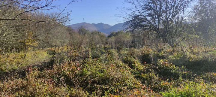 Участок 1,83 га (СНТ, ДНП)