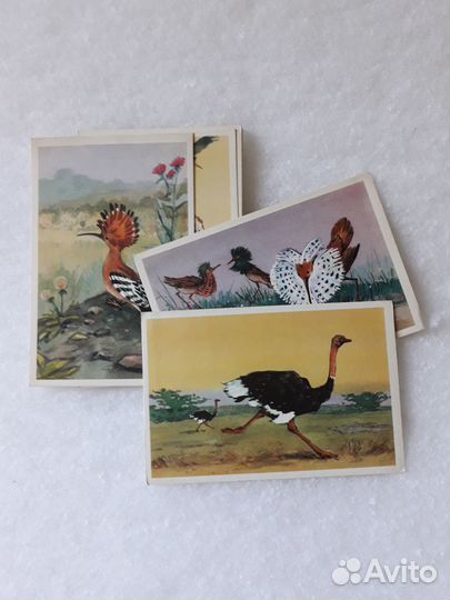 Открытки СССР разные (русские сказки, птицы, космо