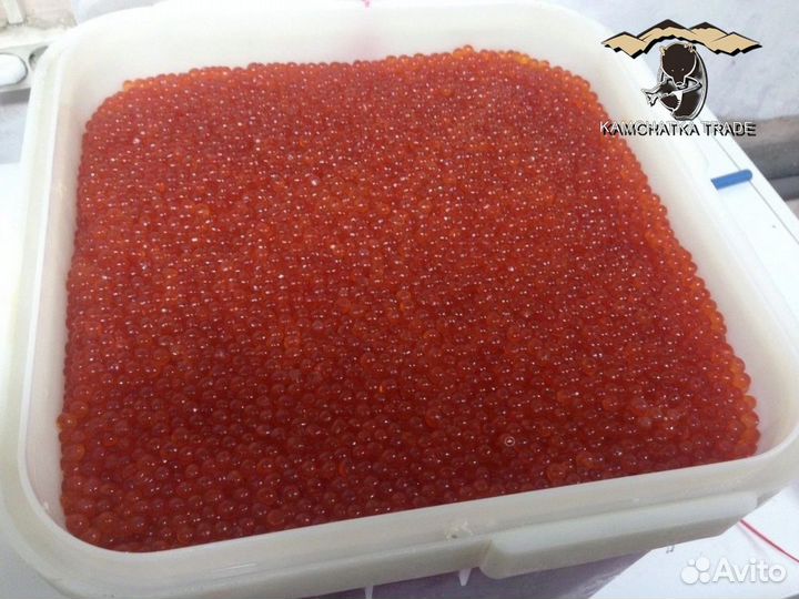 Красная икра