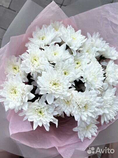 Цветы Букет цветов с доставкой Любые букеты