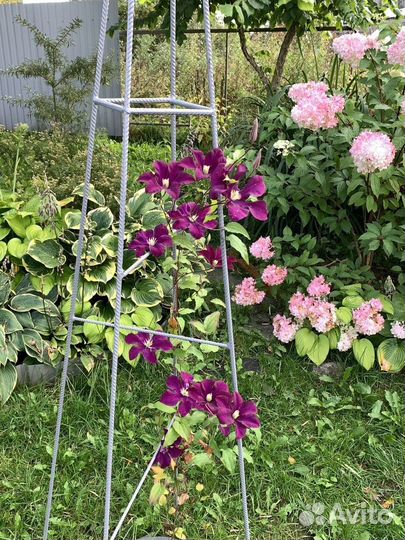 Опора для растений садовая