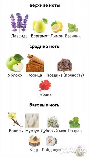 Opulent Shaik Classic No 77 Shaik для мужчин