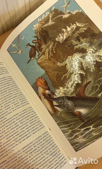 Жизнь животных Альфред Брэм