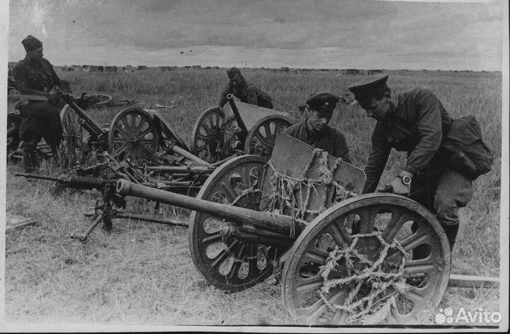 Фотографии авторства Бернштейна и негативы