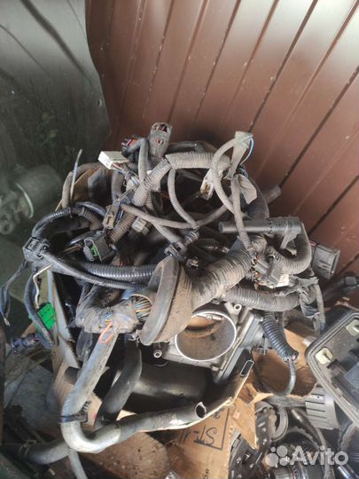 Коса двигателя Koleos 2.5 2TR