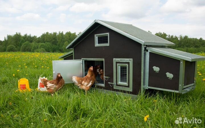 Купить курятник зимний для кур