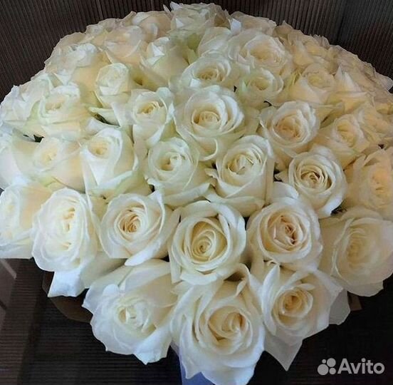 Высокие Высокие розы Гигантские розы Букеты Достав