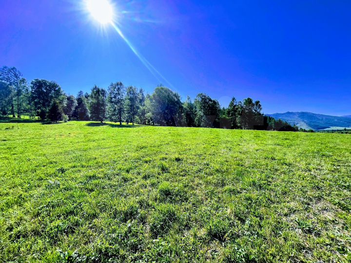 Участок 100 сот. (промназначения)