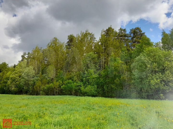 Участок 4,2 га (СНТ, ДНП)