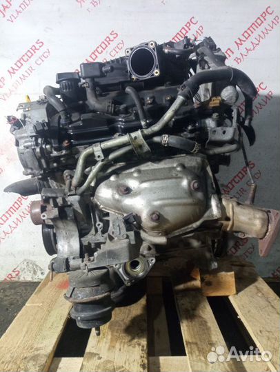 Двигатель Nissan Murano Z51 VQ35 2012