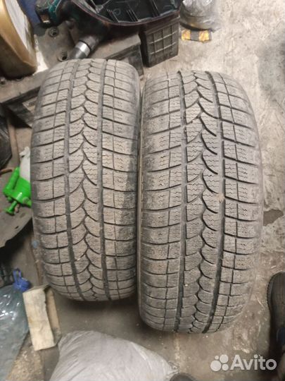 Tigar Winter 195/55 R15