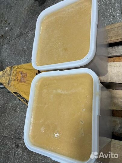 Разнотравье свежий мед оптом опт