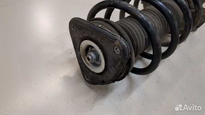 Амортизатор подвески Ford Focus 3, 2016