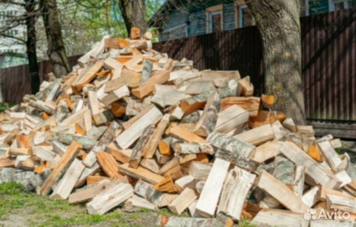 Дрова береза