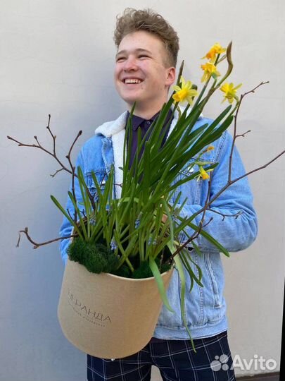 Композиция с живыми луковичными цветами