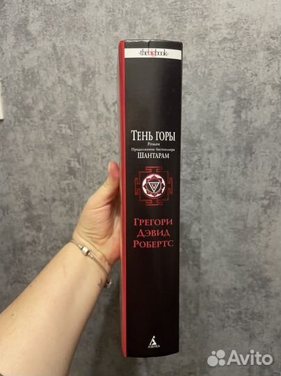 Книга «Тень горы»