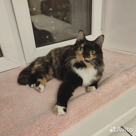 Необыкновенная красавица Фрося в любящую семью