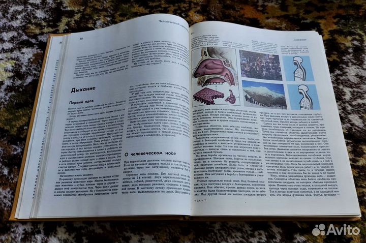 Детская советская энциклопедия