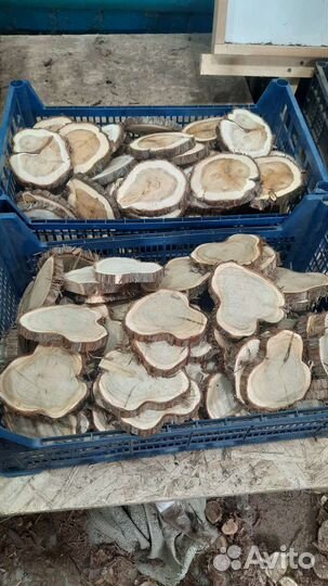 Можжевельник