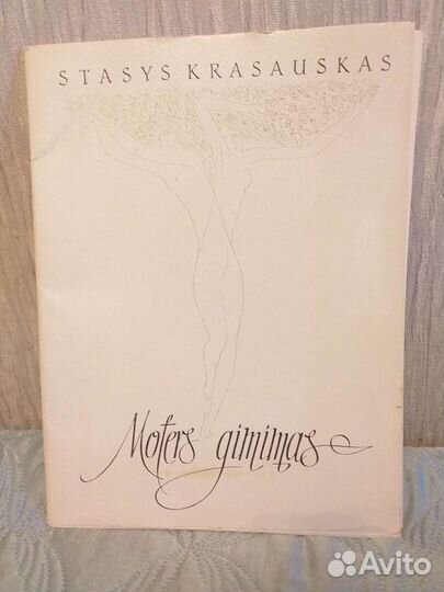 Книга-папка 