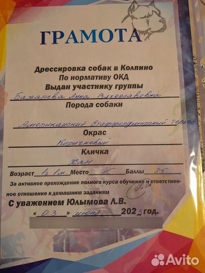 Вязка-Амстафф